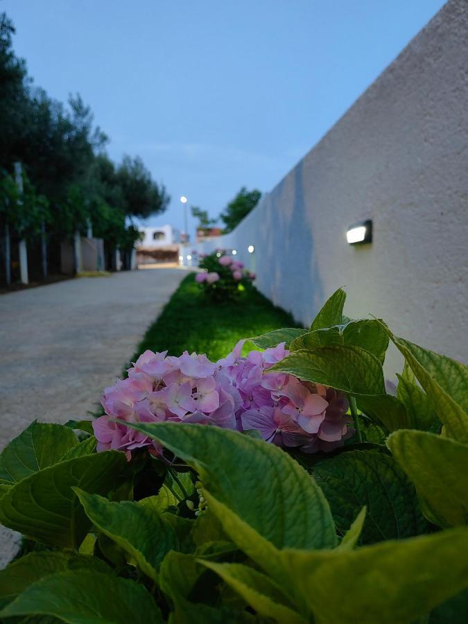 Apartment White Pearl ราชานาส ภายนอก รูปภาพ